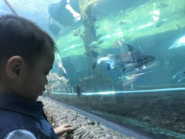 珠海长隆澳门2日游旅游团,澳门长隆住宿推荐