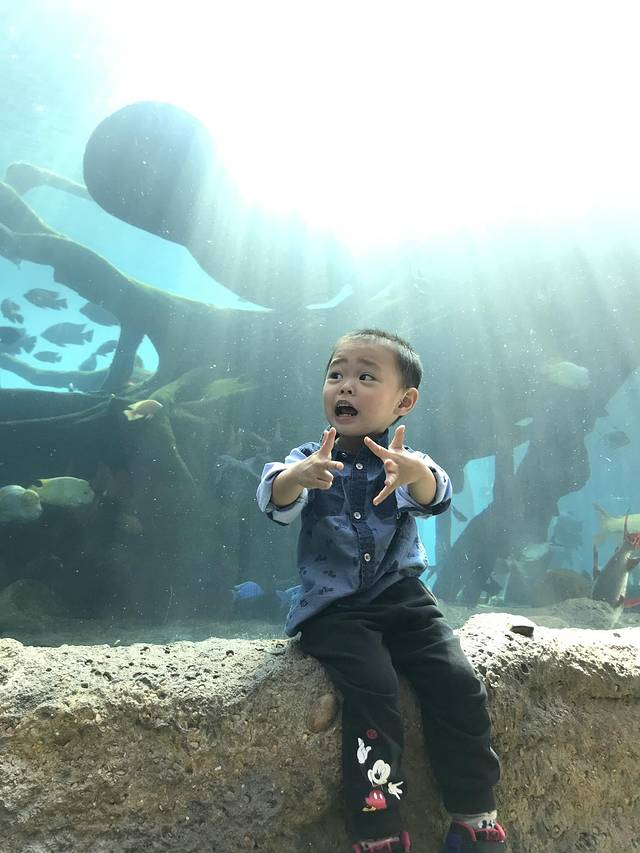 珠海长隆澳门2日游旅游团,澳门长隆住宿推荐