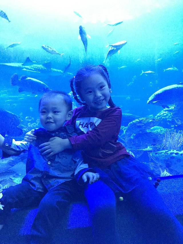 珠海长隆澳门2日游旅游团,澳门长隆住宿推荐