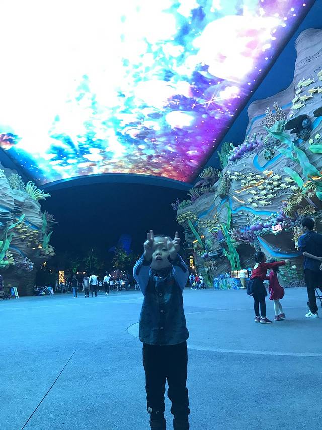 珠海长隆澳门2日游旅游团,澳门长隆住宿推荐