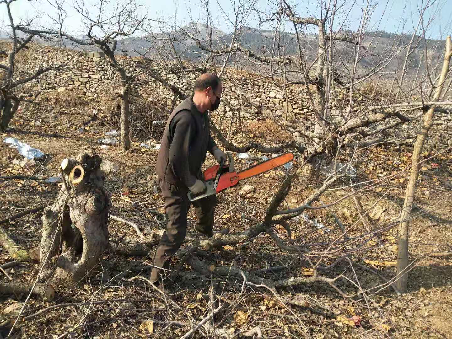 春耕服务团队,农技人员服务春耕备耕