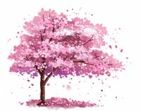 最美社区妇女工作者事迹,最美巾帼奋斗者基层干部