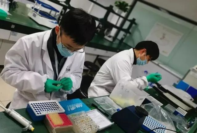 战疫情坚定责任担当,国投疫情