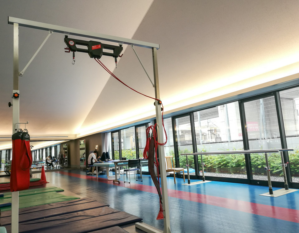 日本医疗发达吗,日本医疗水平是很先进吗