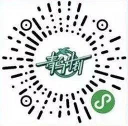 青鸟计划济南岗位,山东青鸟计划招聘条件