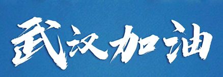 新冠防疫药,抗击疫情药