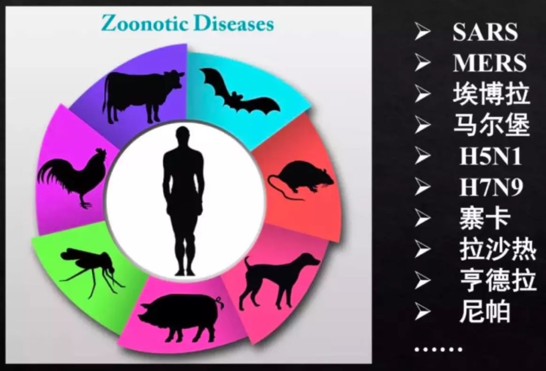 国家把疫情放开了吗,国家是要放开疫情管控吗