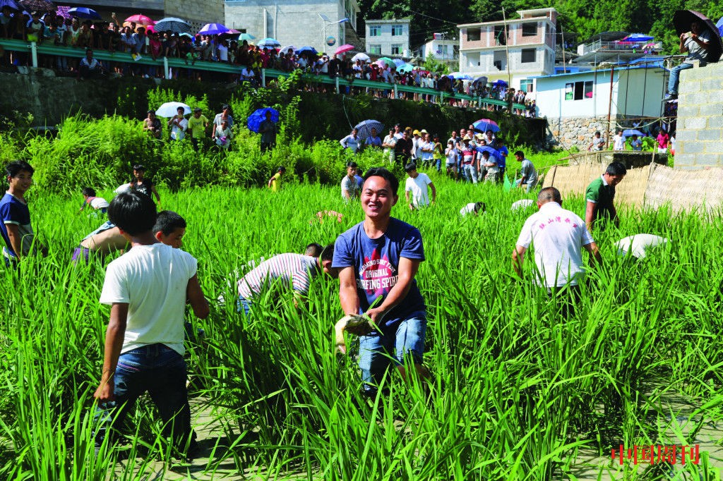 山谷里的国际文化大视野