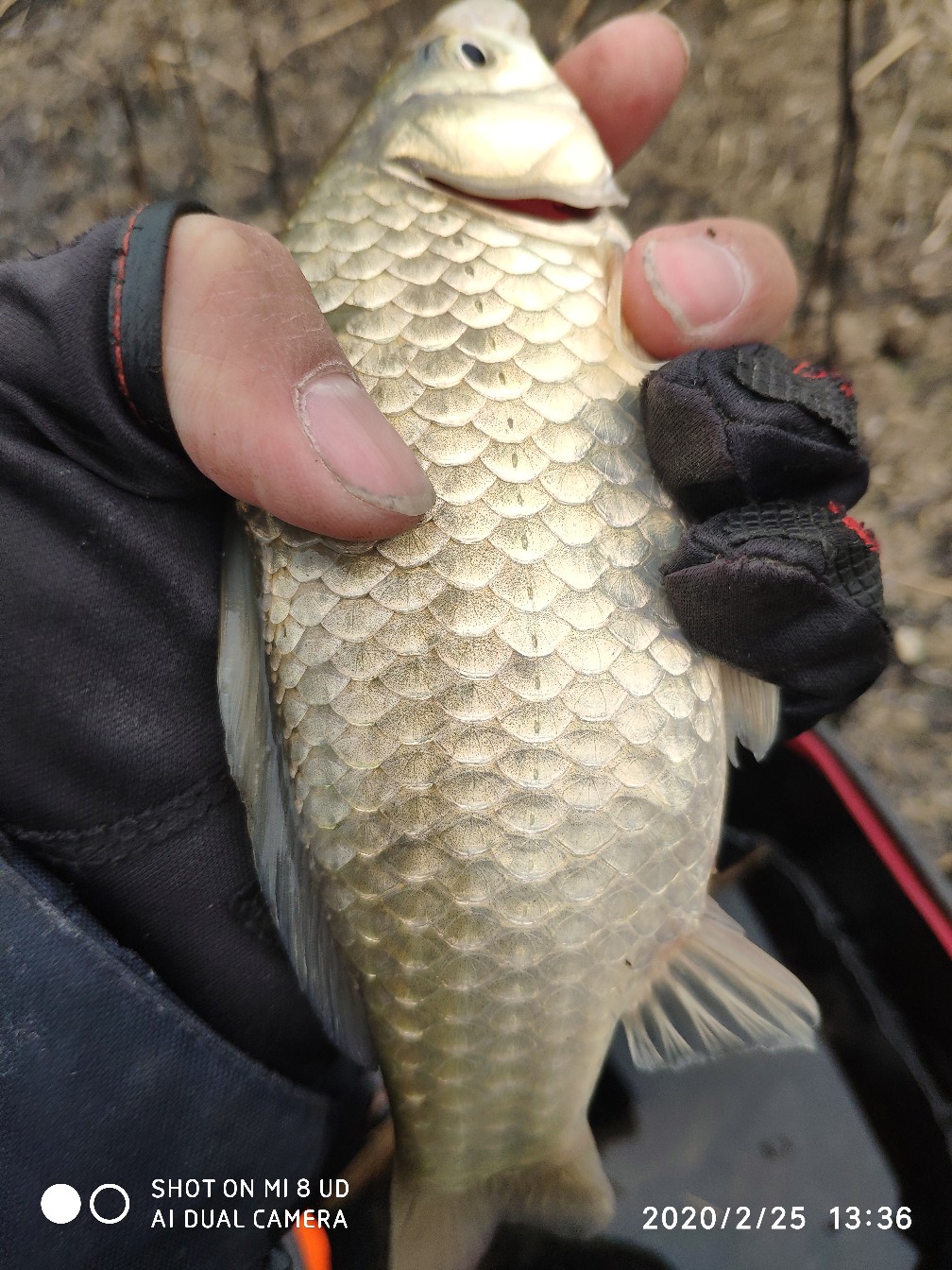 本人野钓经验总结范文怎么写,万峰湖野钓经验