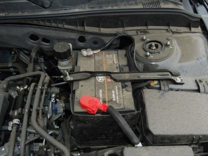 牛车实验室所有视频,牛车实验室完整视频