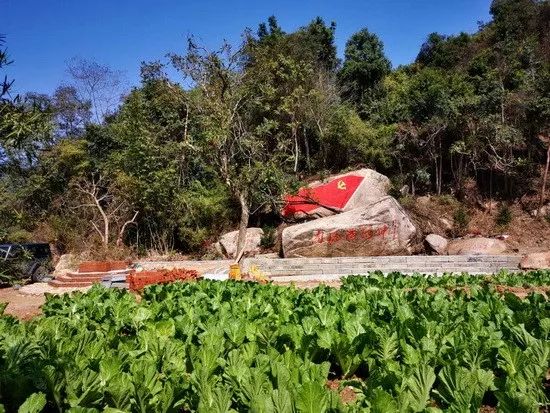 湖南对医护人员免费开放的景点,湖南医务人员免费旅游景点大全