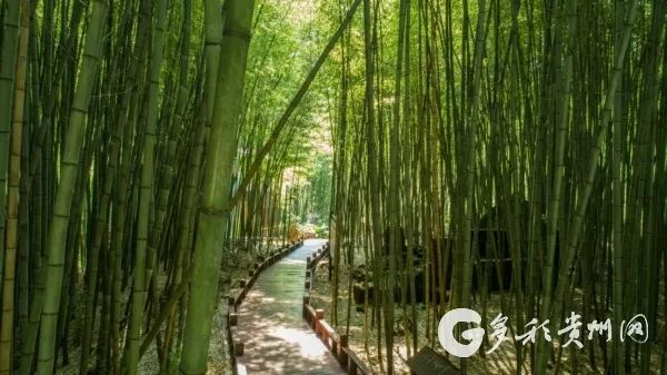 湖南对医护人员免费开放的景点,湖南医务人员免费旅游景点大全