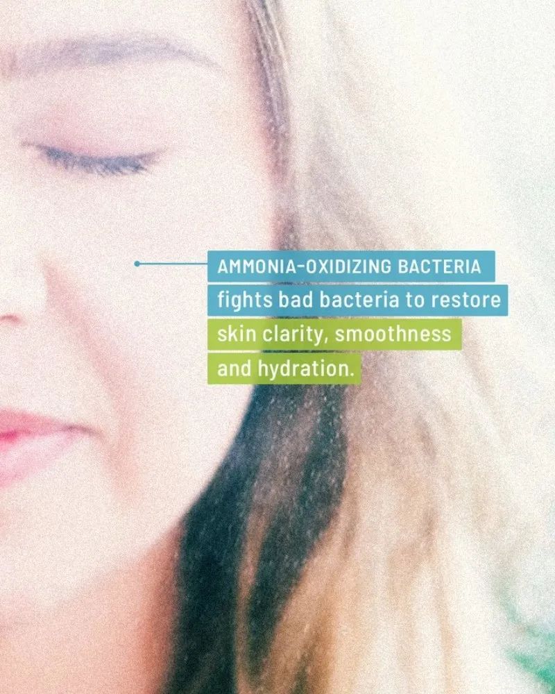 研发不得不关注的12大趋势?这里是最新全球原料展的结果