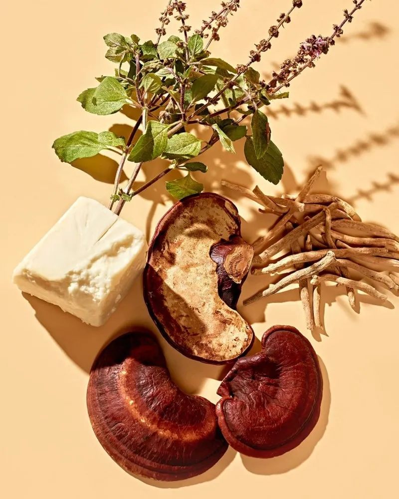 研发不得不关注的12大趋势?这里是最新全球原料展的结果