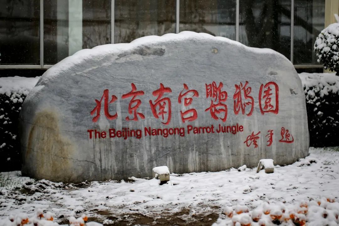 爱改装的车主眼中汉兰达咋样？除了油耗高、推背感肉外，不偷工减料、舒适度高能不能加分？