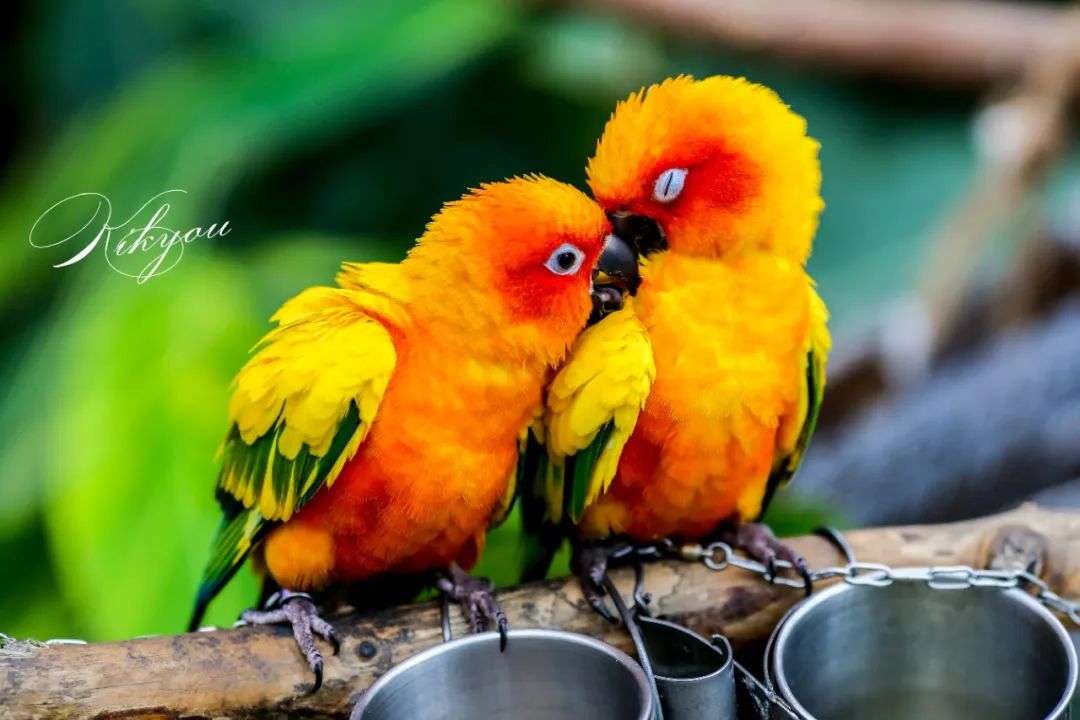 爱改装的车主眼中汉兰达咋样？除了油耗高、推背感肉外，不偷工减料、舒适度高能不能加分？