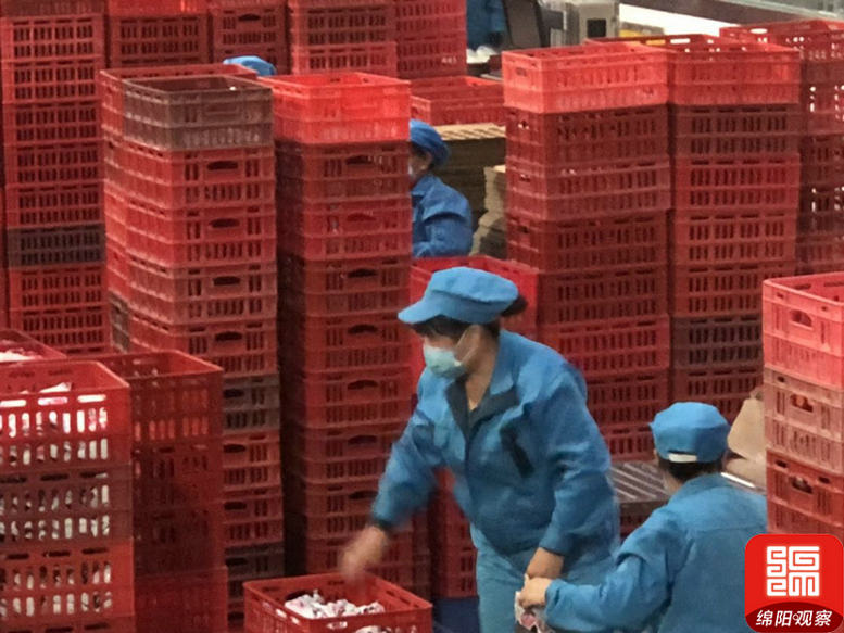 四川绵阳雪宝牛奶厂,绵阳雪宝牛奶怎么样