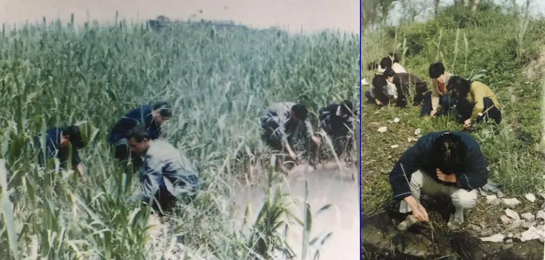 追溯江阴历史上的疫情与防治