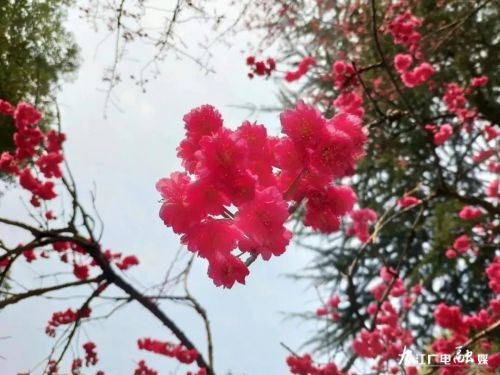 主播说联播丨武汉社区网格员变身“药袋人”，刚强想对他说几句话