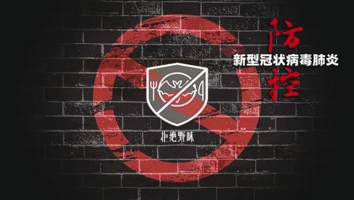 牛蛙乌龟到底能不能吃官方明确了,竹鼠野猪蛇蛙到底哪些动物不能吃