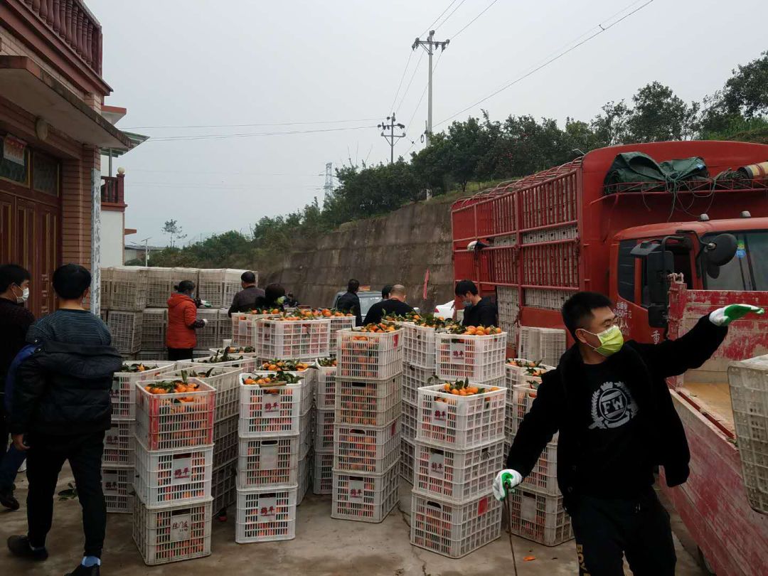 开州区抗疫照片,开州区一家三口齐上阵抗疫