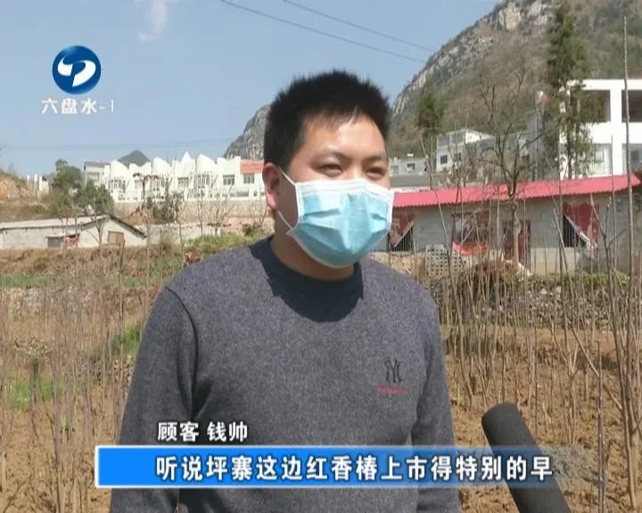 香椿这个时节不可错过的美味,鲜香椿炒鸡蛋正确做法