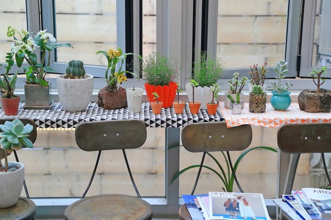 梨泰院怎么这么受欢迎,梨泰院究竟有什么好玩