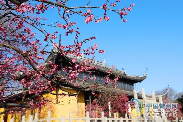 常州重要通知,常州最新政策消息