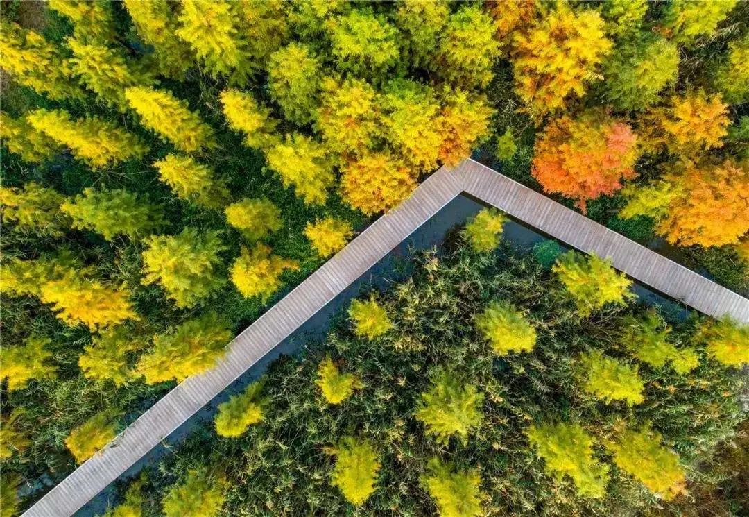 常州重要通知,常州最新政策消息