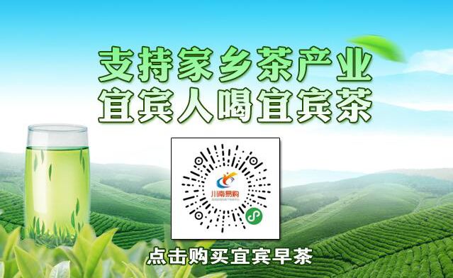 逆势而上,逆势而上视频