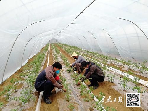 温暖同行携手共抗疫情,孝感抗疫