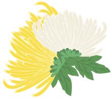 无锡热门旅游城市线路,无锡景点最佳旅游路线推荐