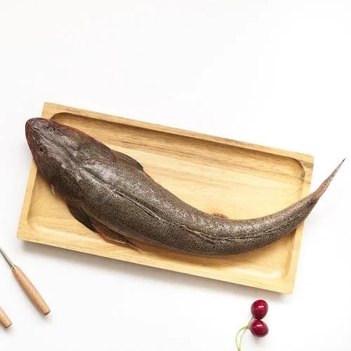 鳜鲥鳎鲉鲬鲿鳢鲷䲟鳓鳑鲏鲯鳅鳗鲡，你都认识吗？