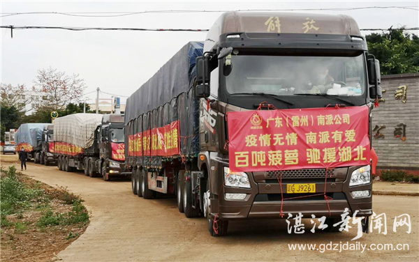 爱心蔬菜驰援禹州,湛江爱心菜