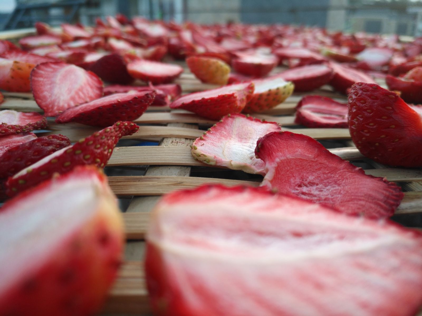 “笨办法”,获“奇效”!保山腾冲草莓销售喜迎“春天”