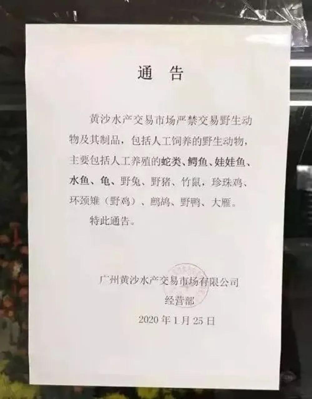 哪些动物属于野味,别再吃野生动物管住自己嘴