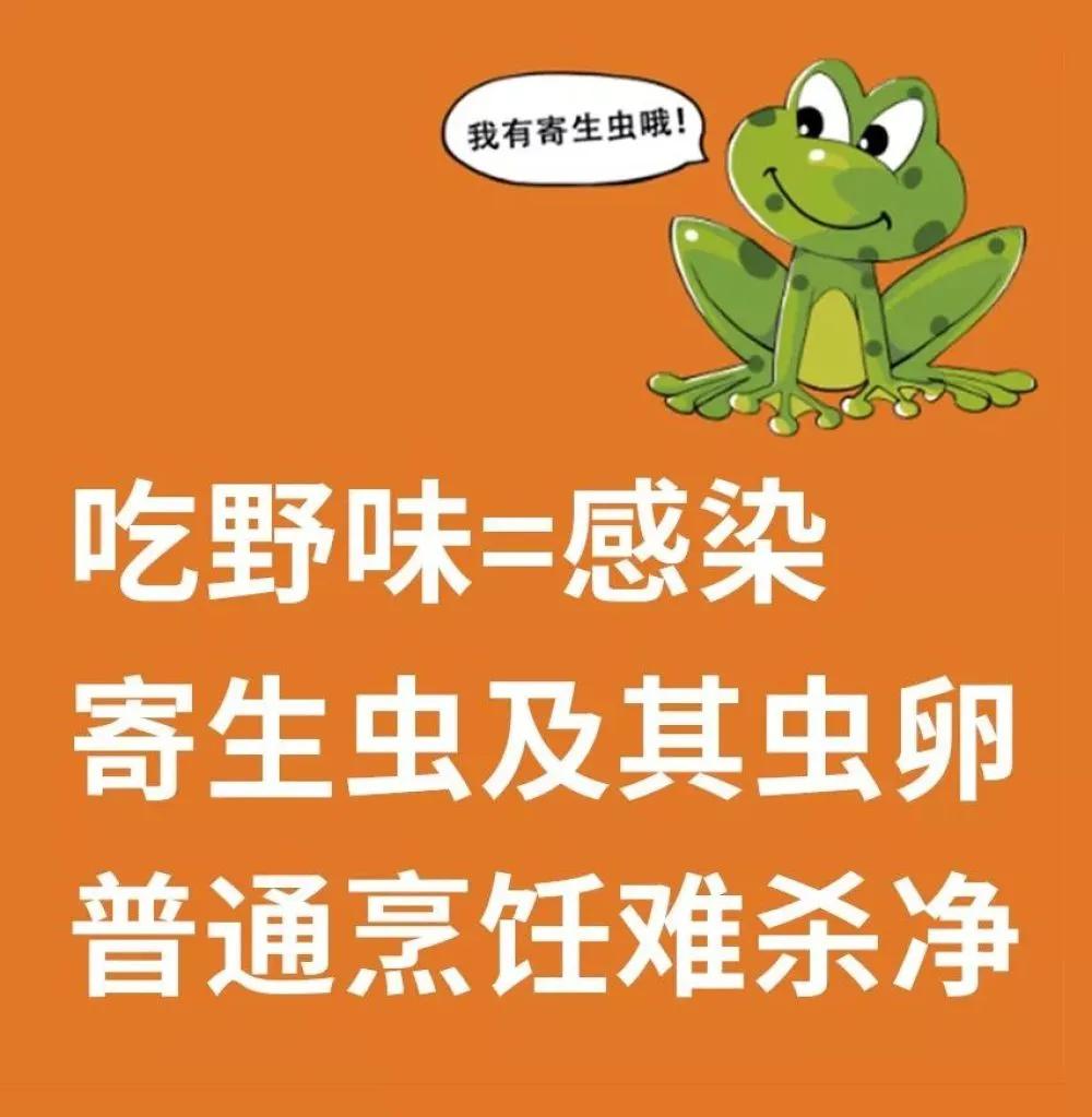 哪些动物属于野味,别再吃野生动物管住自己嘴