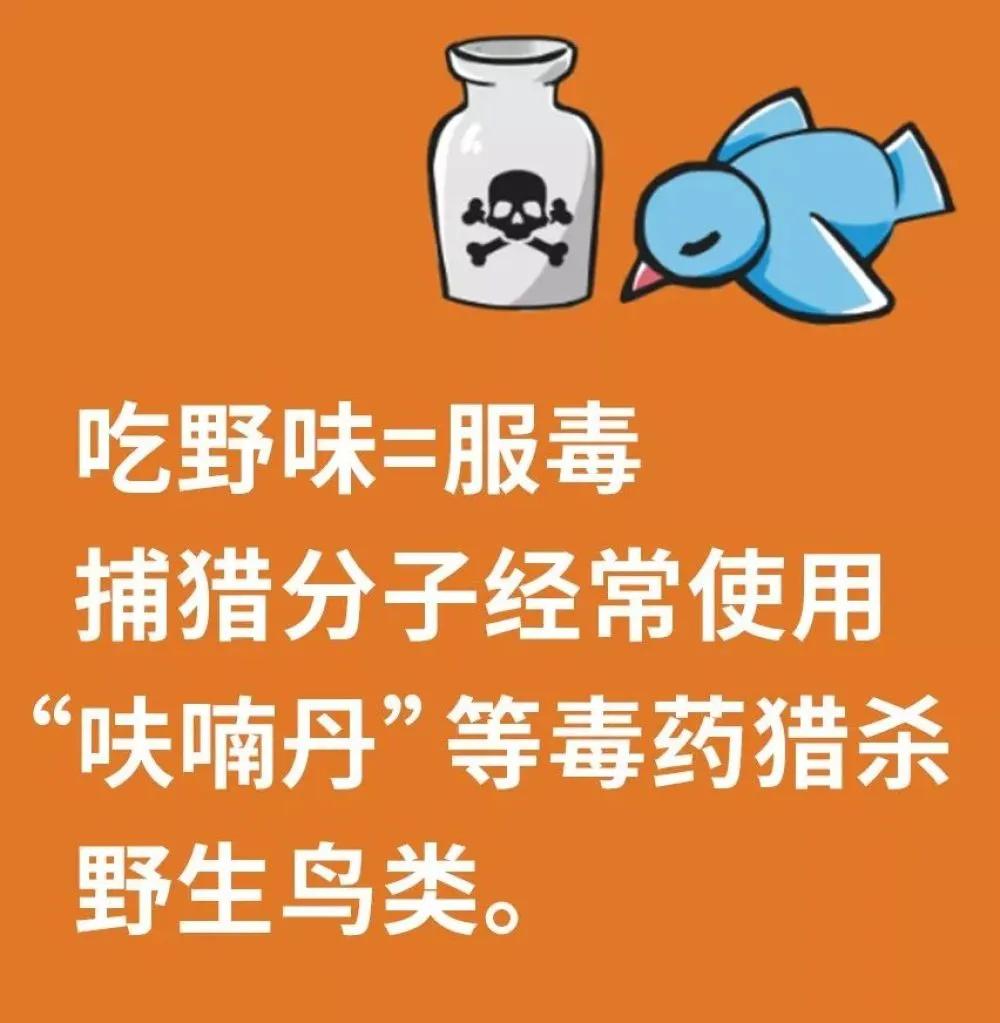 哪些动物属于野味,别再吃野生动物管住自己嘴