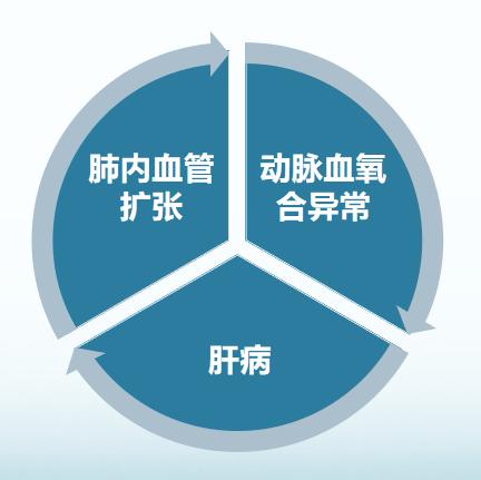 肝硬化肝肺综合征一般活多久,肝性脑病是肝硬化最严重的并发症