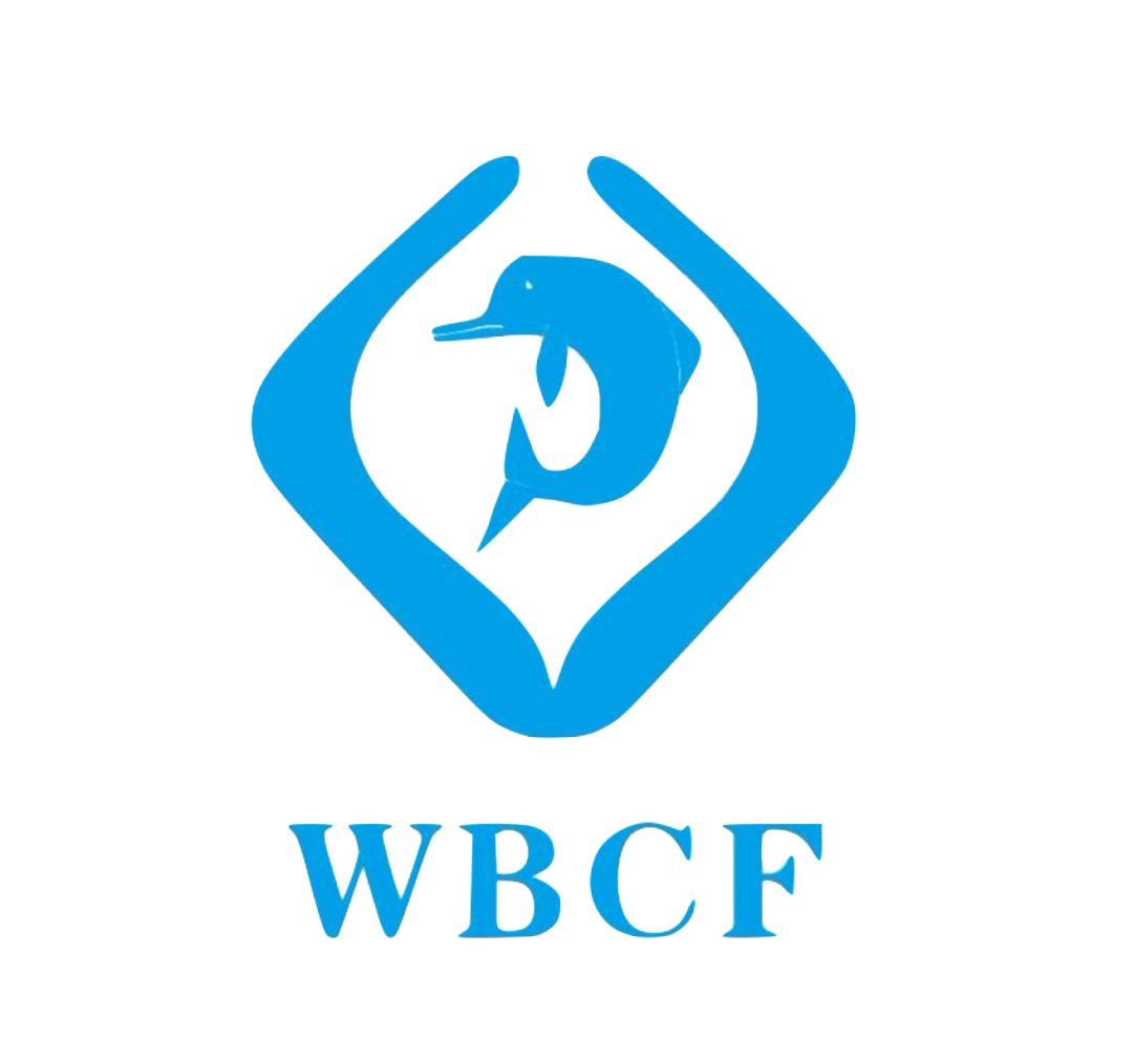 长江寻江豚,长江江豚的微笑