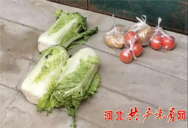 宁晋县教育局:身兼“七职”全力做好分包小区防疫工作