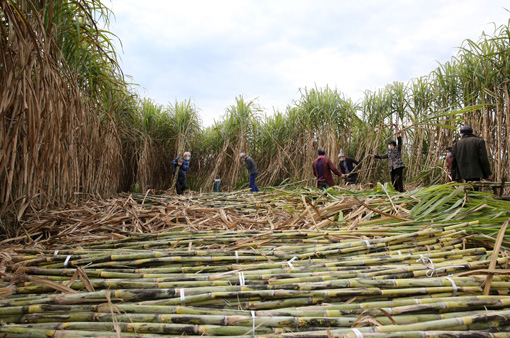 “以买代帮”！东兴区借助电商战“疫”扶贫