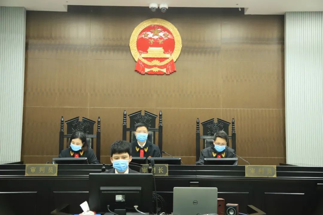 艾莱依假两件套羽绒服女,淘宝里面卖假羽绒服不犯法吗