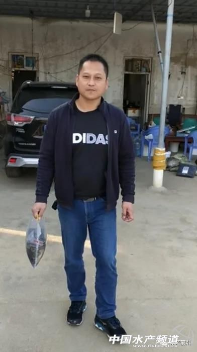 养5万只海水石斑鱼需要多少本钱,养石斑鱼的前景如何