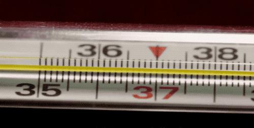 水银体温计怎么做好看,水银体温计的制作原理是