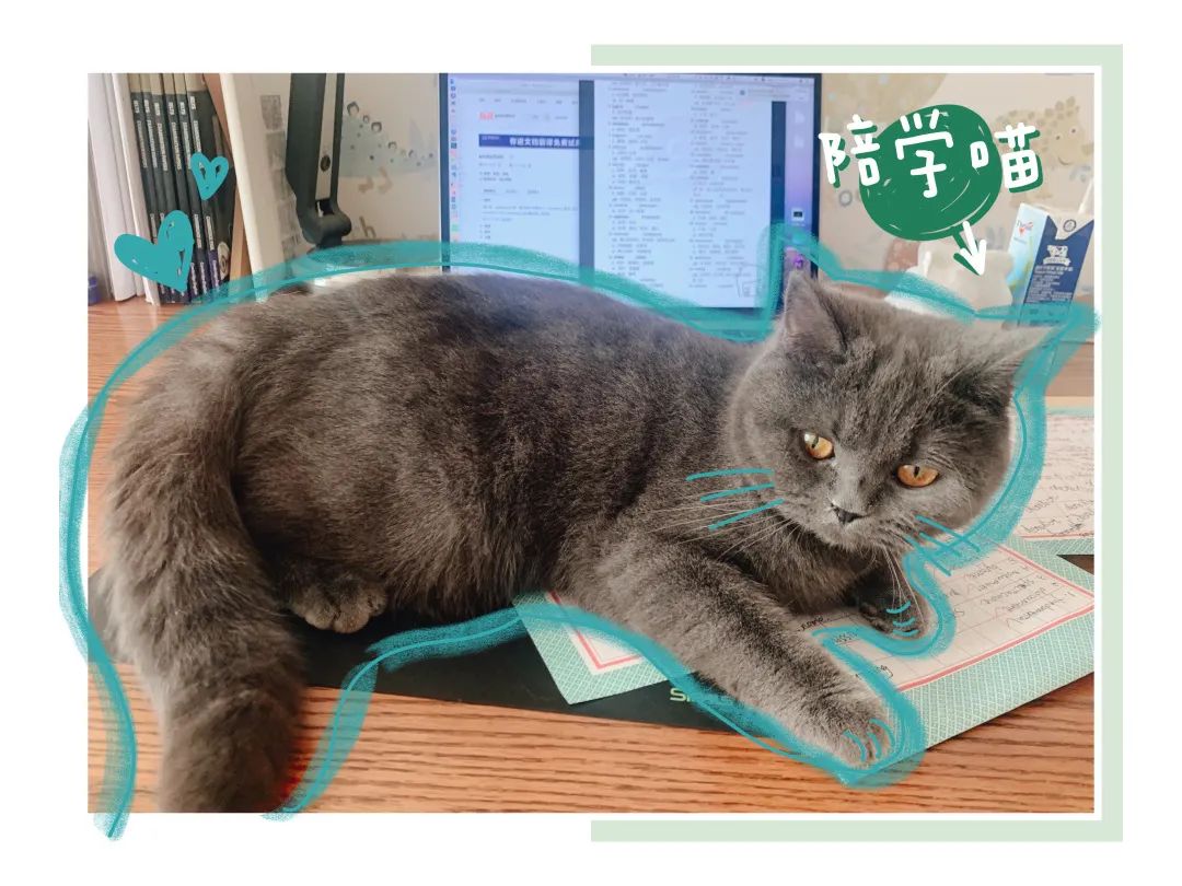 清华书桌,大学宿舍书桌大赏