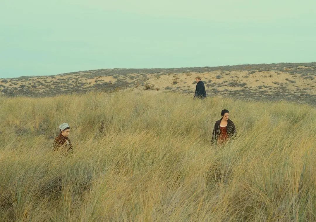 Wes出预告,蜷川实花上新剧,色彩控们又该尖叫了