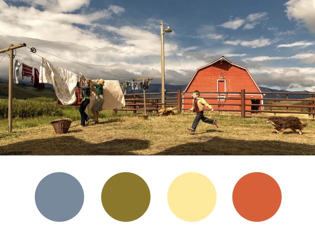 Wes出预告,蜷川实花上新剧,色彩控们又该尖叫了