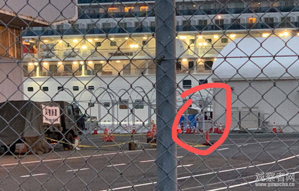 钻石公主号最新信息,钻石公主号目前在哪里