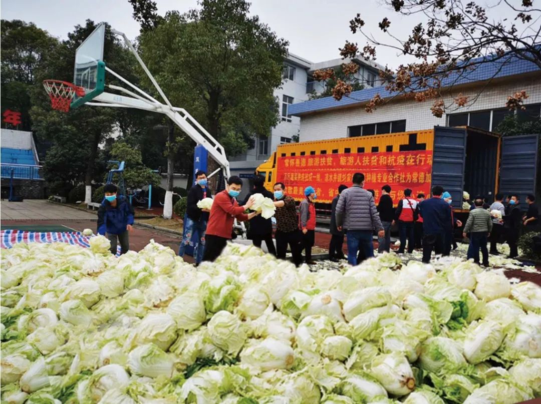 同心战疫,湖南文旅人坚守阵地待春来